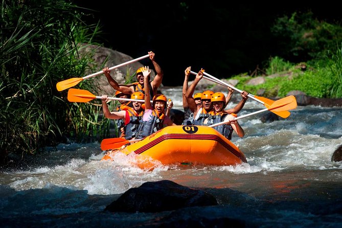 Bali Ayung River White Water Rafting with Transport - Key points to know before booking
