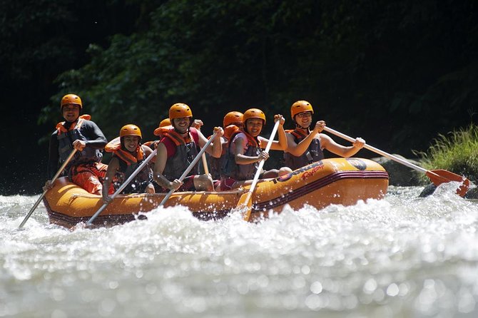 Bali Ayung River White Water Rafting with Transport - What the Ayung River offers near Ubud