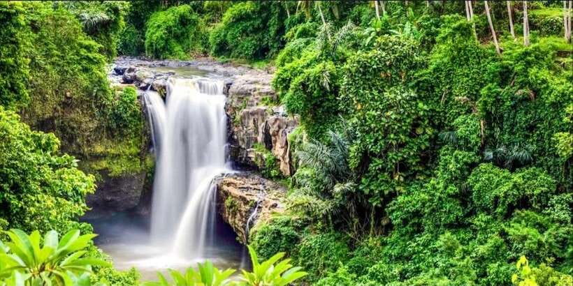 Bali: Bali Swing, Monkey Forest, Rice Terrace, Waterfall - Tegenungan Waterfall closes the day with a swim option