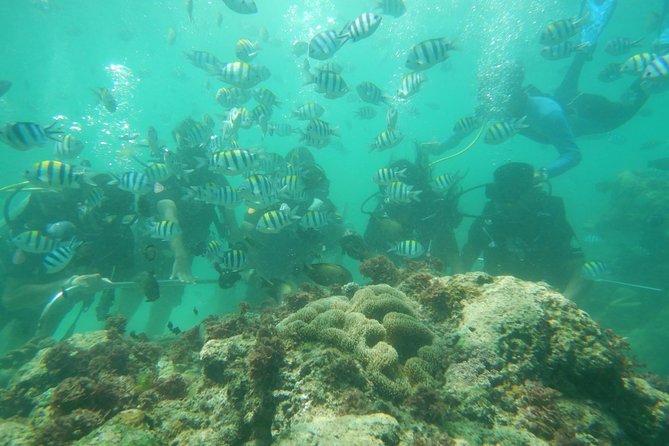 Bali Beaches Hopping - Uluwatu Temple - Is $32 a good value?