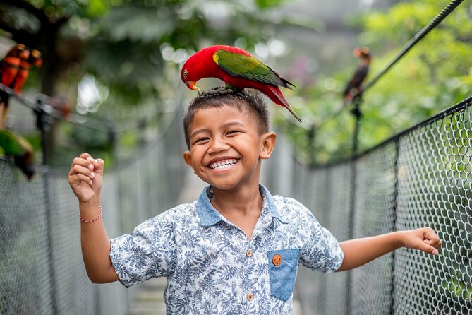 Bali Bird Park Admission Ticket - What a three-hour visit to Bali Bird Park feels like