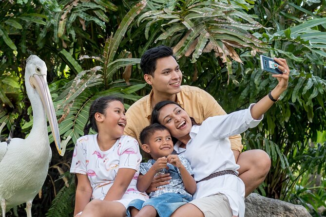 Bali Bird Park Admission Ticket - Birds of prey at 11:30 AM and 3:00 PM