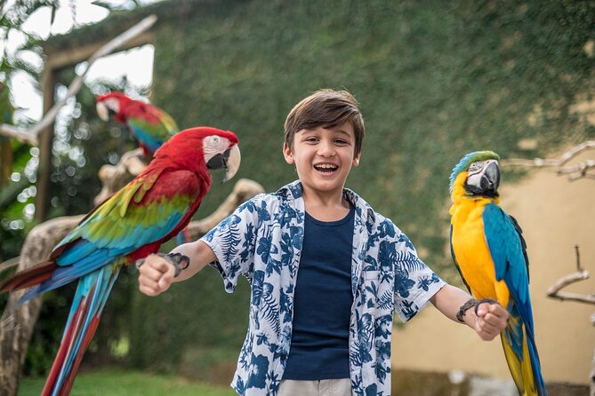 Bali Bird Park Admission Ticket - Feeding sessions and close encounters