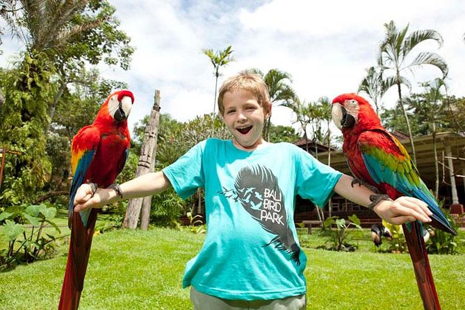 Bali Bird Park Admission Ticket with Hotel Transfer - Bird shows and hands-on feeding
