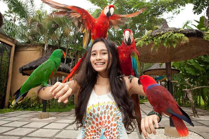 Bali Bird Park Admission Ticket with Hotel Transfer - The grounds, food, and extra costs