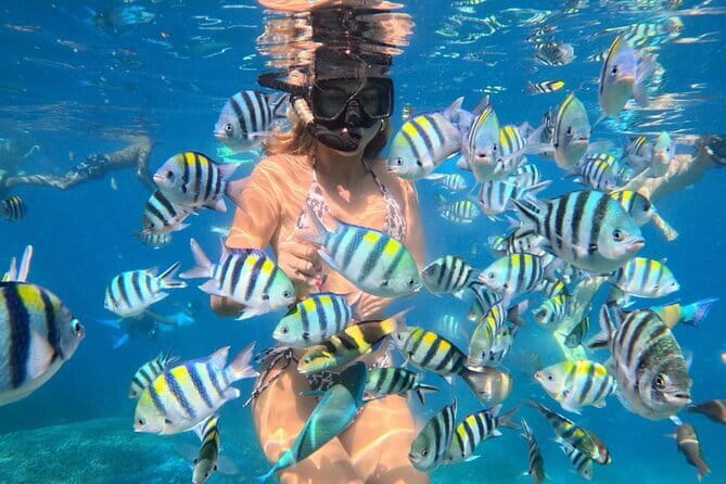 Bali : Blue Lagoon Snorkeling combine with Bali Swing in Ubud - From the coast to Tegalalang’s rice terraces
