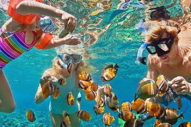 Bali : Blue Lagoon Snorkeling combine with Bali Swing in Ubud - Why the private car changes the day