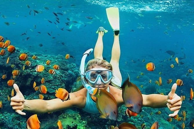 Bali : Blue Lagoon Snorkeling combine with Bali Swing in Ubud - Who should book this Bali day tour?