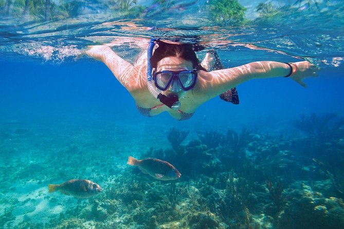 Bali Blue Lagoon Snorkeling Experience - Fitness, equipment, and comfort