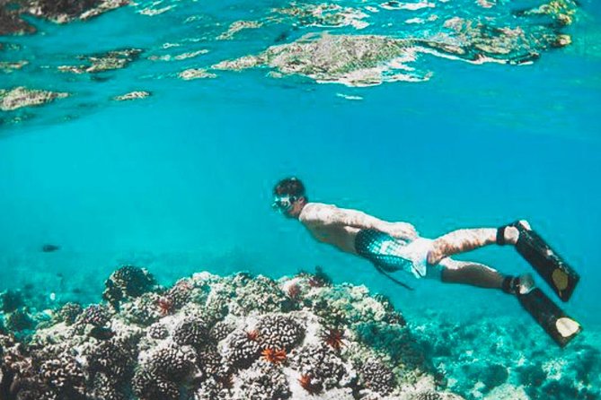 Bali Blue Lagoon Snorkeling - Lunch and Transport All Inclusive - Why this combination works