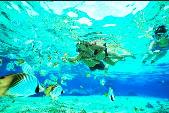Bali Blue Lagoon Snorkeling - Lunch and Transport All Inclusive - Private drivers and the human side of the tour