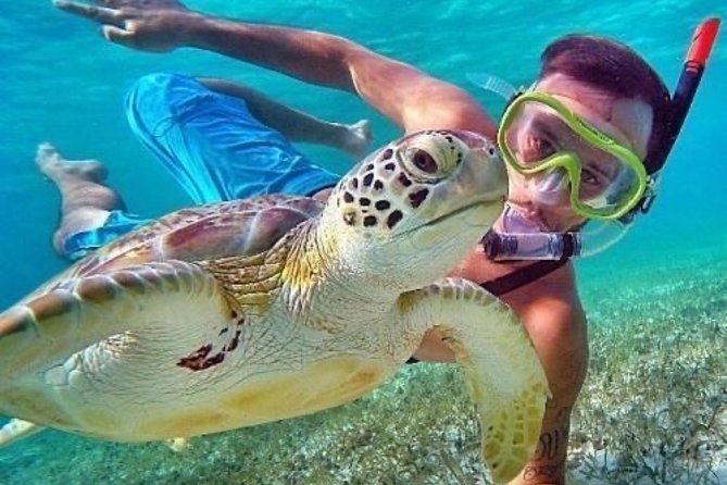 Bali Blue Lagoon Snorkeling - Lunch and Transport All Inclusive - Two hours in the water at Blue Lagoon and Tanjung Jepun