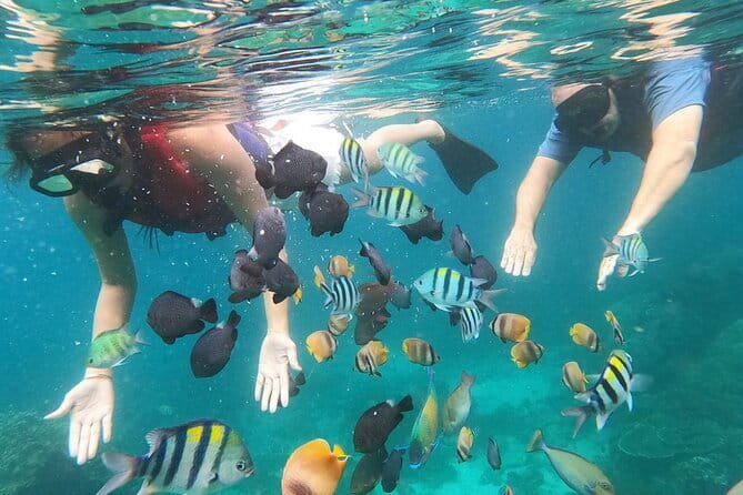 Bali Blue Lagoon Snorkeling with Waterfalls Tour - all included - Padangbai leads to Blue Lagoon and Tanjung Jepun