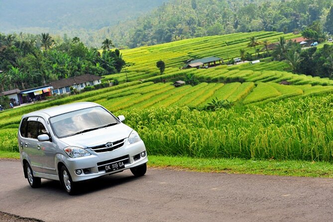 Bali Car Hire with Driver - Comfort, pickup, and group size