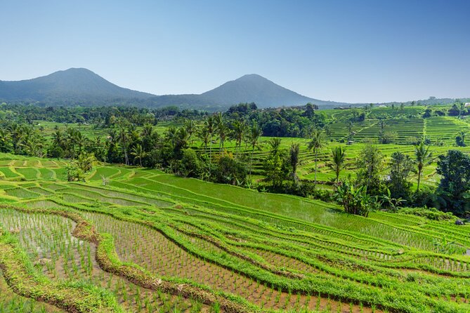 Bali Charm: Full-Day Bedugul and Tanah Lot Tour (UNESCO) - All Inclusive Tickets - Tanah Lot: the coastal finale