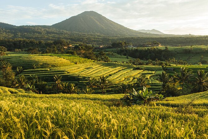Bali Charm: Full-Day Bedugul and Tanah Lot Tour (UNESCO) - All Inclusive Tickets - Why a private guide makes the long route worthwhile