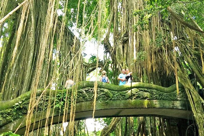 Bali Cooking Class and Ubud Sightseeing Tour - What the private vehicle adds to the day