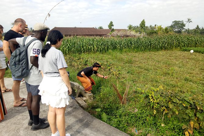 Bali Cooking Class and Ubud Sightseeing Tour - Who will enjoy this Ubud day most