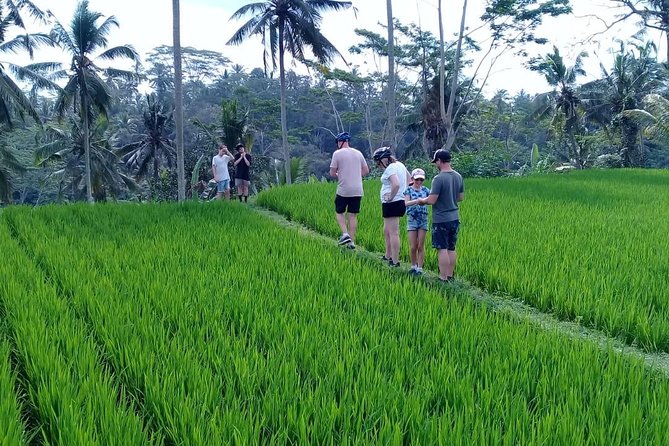 Bali Countryside Cycling Adventure - A downhill route through Bali’s working countryside