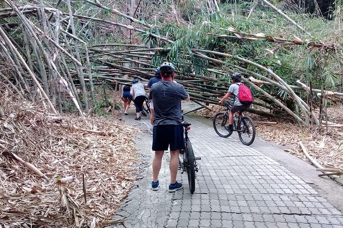 Bali Countryside Cycling Adventure - Seven and a half hectares of bamboo forest
