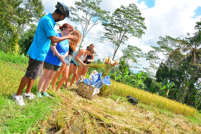Bali Countryside Cycling Tours - Who should book this ride?