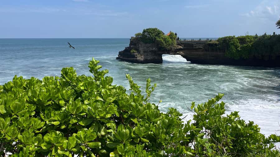 Bali: Customise your Bali Tour with Driver-Guide - Starting from your hotel in south Bali or Ubud