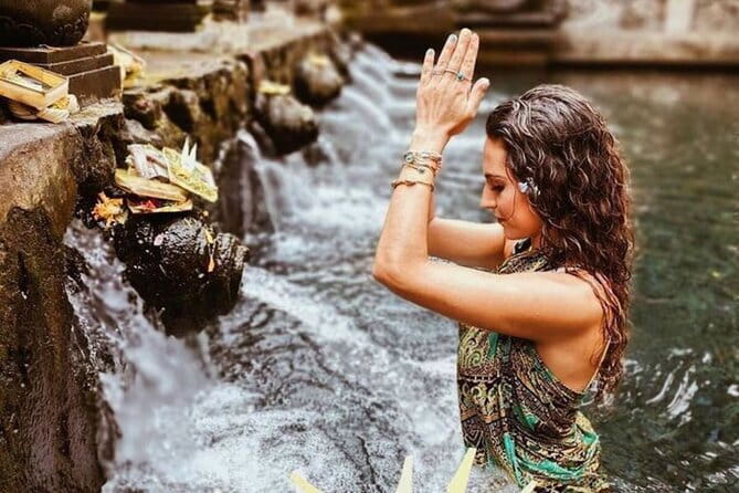 Bali Customizable Multi Language Tour with Driver-Guide - What the driver-guide adds