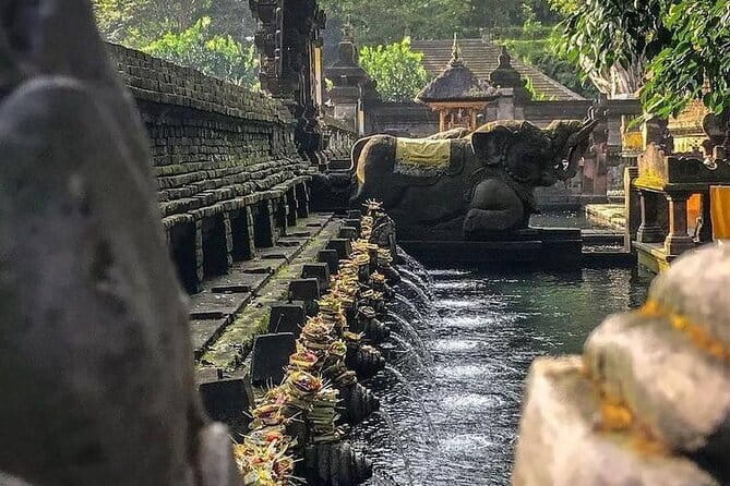 Bali Customizable Multi Language Tour with Driver-Guide - Price, extra costs, and overall value