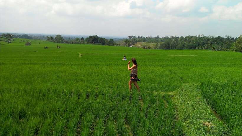 Bali: Customizable Private Tour - Vehicles, inclusions, and the true cost