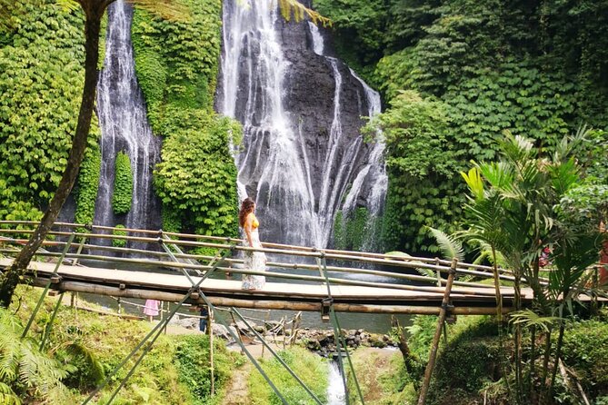 Bali-Customized Private Day Tour - What the $41 price really covers
