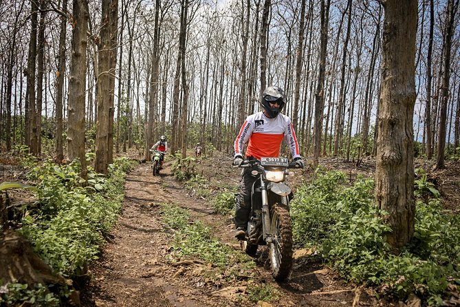 Bali Dirt Bike Adventure - Forest trails below Mount Agung