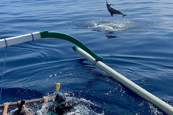Bali : Dolphin Sunrise Experience Tour Private All Inclusive - Reliability, booking, and cancellation