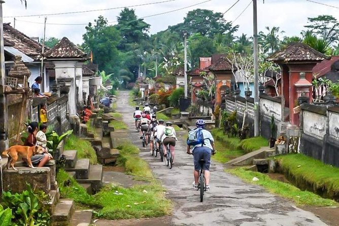 Bali Downhill Cycling and White Water Rafting - Lunch in Ubud Before the River Run