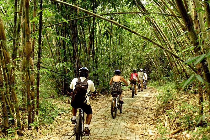 Bali Downhill Cycling and White Water Rafting - Two Hours on the Ayung River