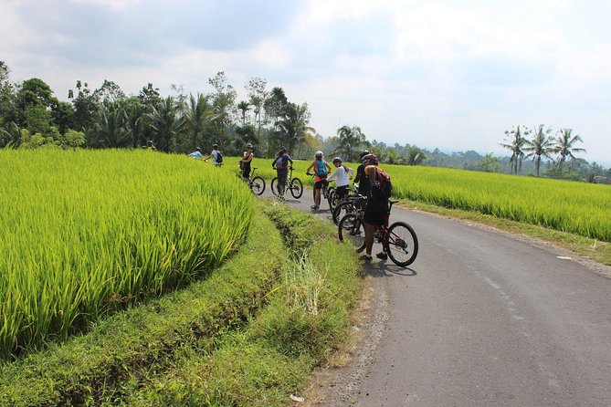 Bali Downhill Cycling and White Water Rafting - Weather, Cancellation, and Planning Details