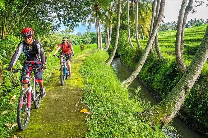 Bali Downhill Cycling and White Water Rafting - Why the Downhill Cycling Works So Well