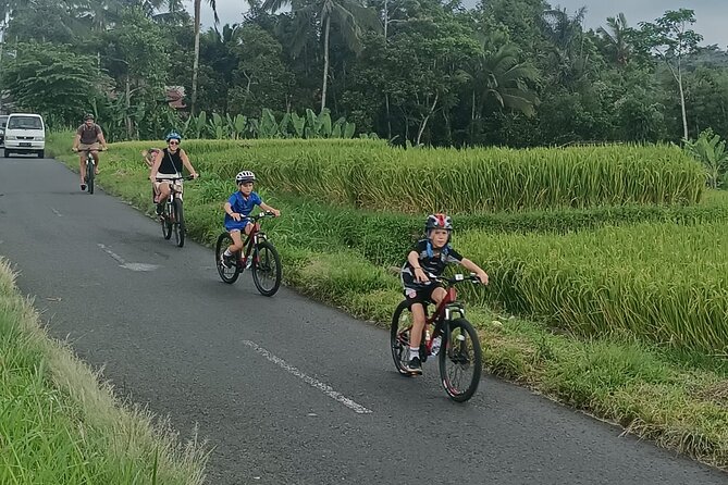 Bali Downhill Natural Cycling Tour & visit Volcano - Temple stops and the traditional Balinese home