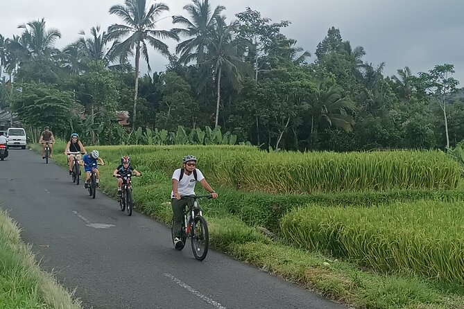 Bali Downhill Natural Cycling Tour & visit Volcano - Coffee, local stops, and time management