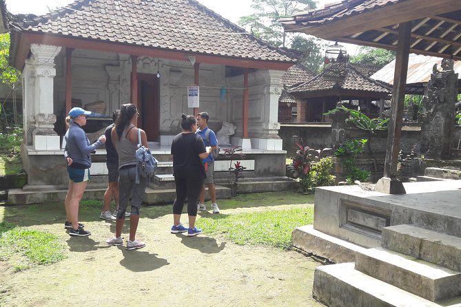Bali Eco & Educational Cycling Tour - The downhill route through rural Bali