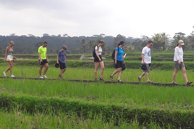 Bali Eco & Educational Cycling Tour - The value of $48.87