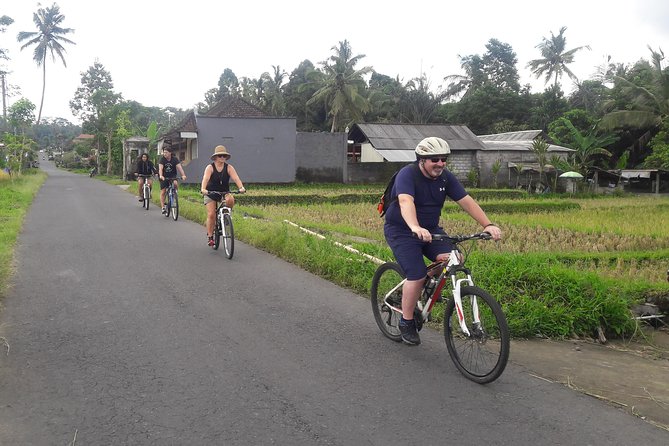 Bali Eco & Educational Cycling Tour - Should you book the Bali Eco and Educational Cycling Tour?