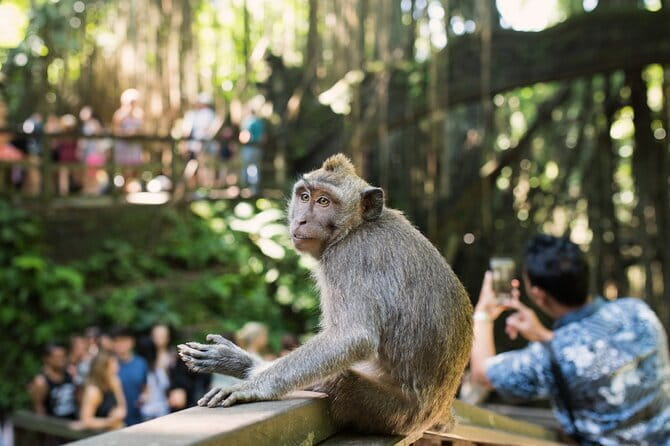 Bali Full-Day The Gate of Heaven Tour by VW Safari Classic Car - Practical Clothing and Packing Advice