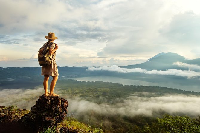 Bali Full Day Tour: Highlights of Ubud and Hidden Waterfall - What the private format really gives you