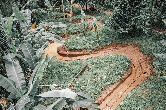 Bali: Gorilla Face ATV Bali Ubud Adventure with Lunch - Who will enjoy this ATV adventure