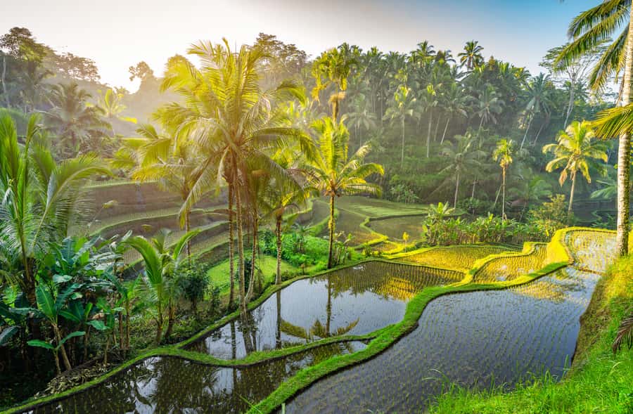 Bali: Griya Taman Beji Waterfall with Optional Ubud Tours - Tegenungan Waterfall is the more scenic stop