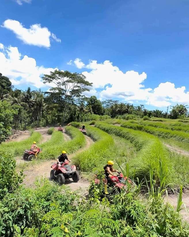Bali: Guided Quad Bike Ride with Waterfall and Swing Options - Transfers, drivers, and the long day