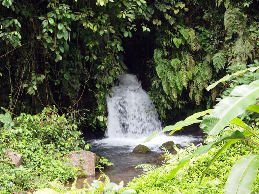Bali: Gunung Kawi Temple & Pakerisan UNESCO Guided Tour - Sacred pools, stone gates, and daily offerings
