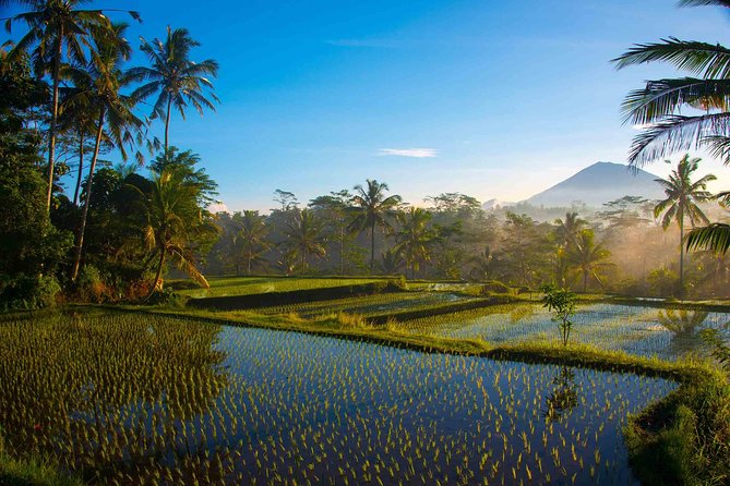 Bali Half Day Photography Tour - Rice fields, villages, and changing light