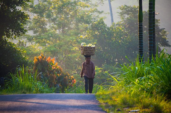 Bali Half Day Photography Tour - Tirta Empul and the water purification ritual