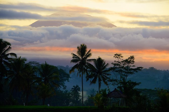 Bali Half Day Photography Tour - Who will enjoy this morning most?
